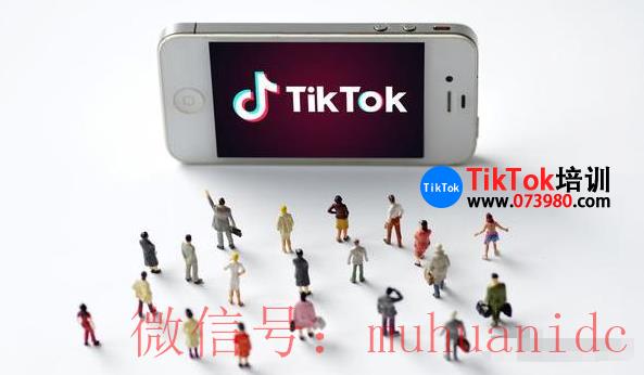 tiktok账号购买平台