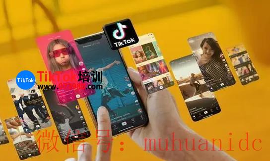 tiktok账号购买平台