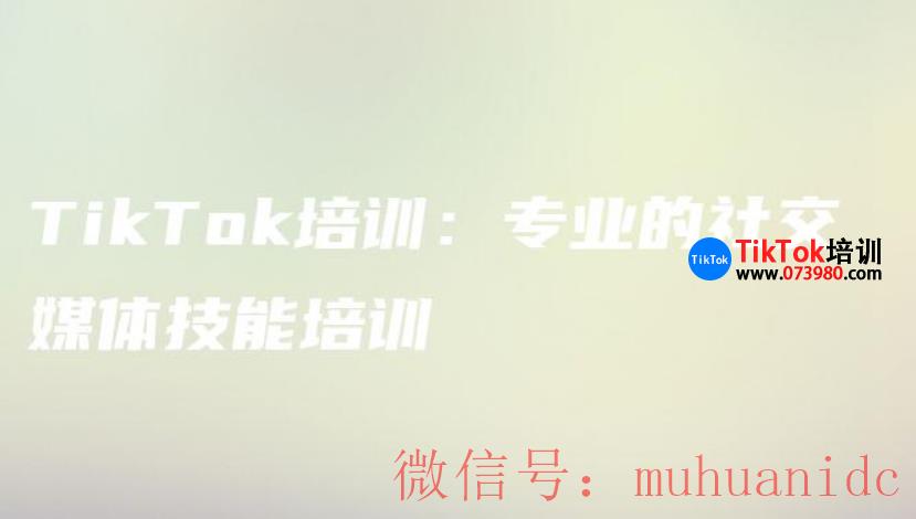 tiktok账号购买平台