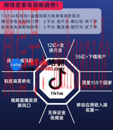 tiktok账号购买平台