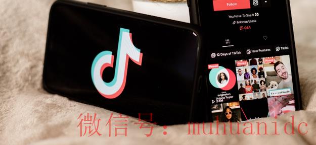 tiktok账号购买平台