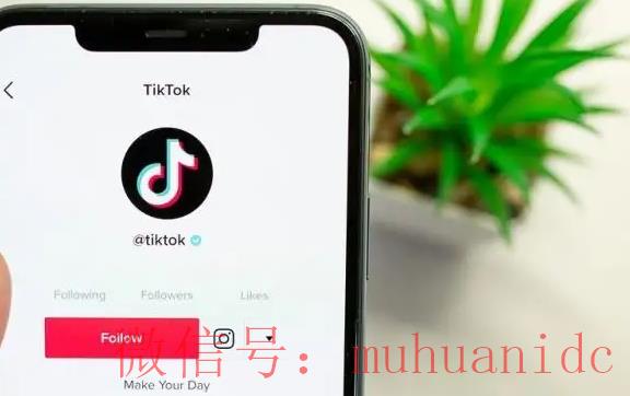 tiktok账号购买平台