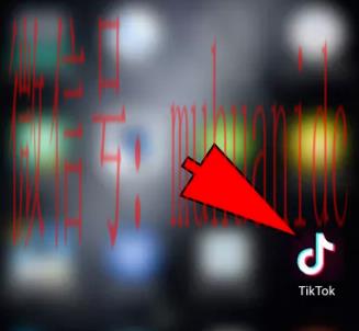 tiktok账号购买平台