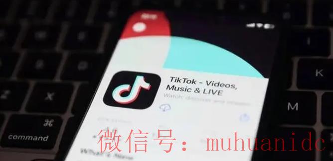 tiktok账号购买平台