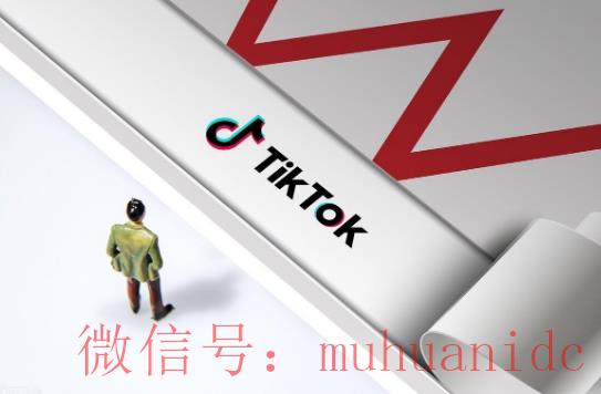 tiktok账号购买平台