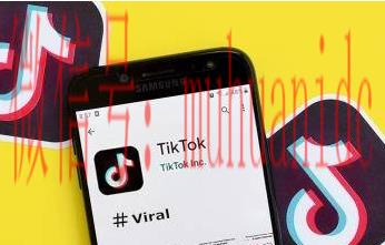 tiktok账号购买平台