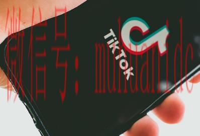 tiktok账号购买平台
