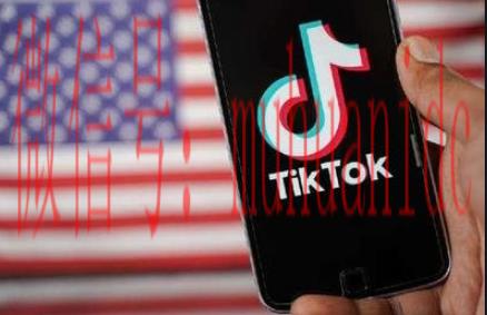tiktok账号购买平台