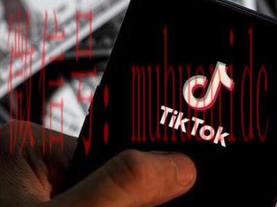 tiktok账号购买平台