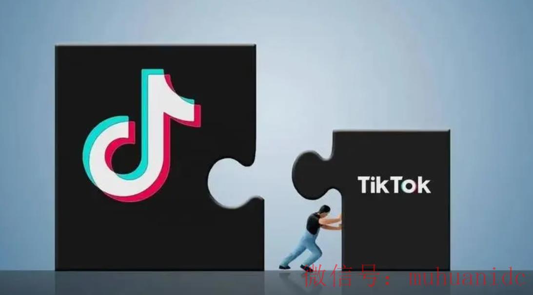 tiktok账号购买平台