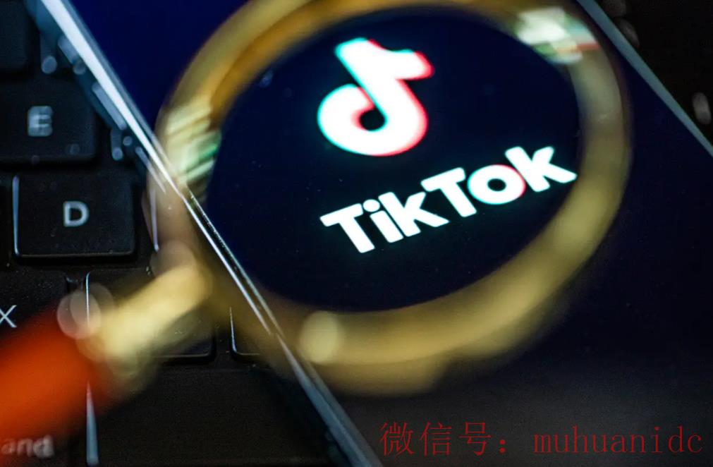 tiktok账号购买平台