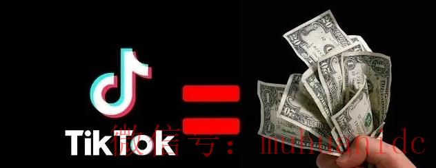 tiktok账号购买平台
