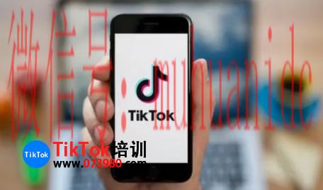 tiktok账号购买平台