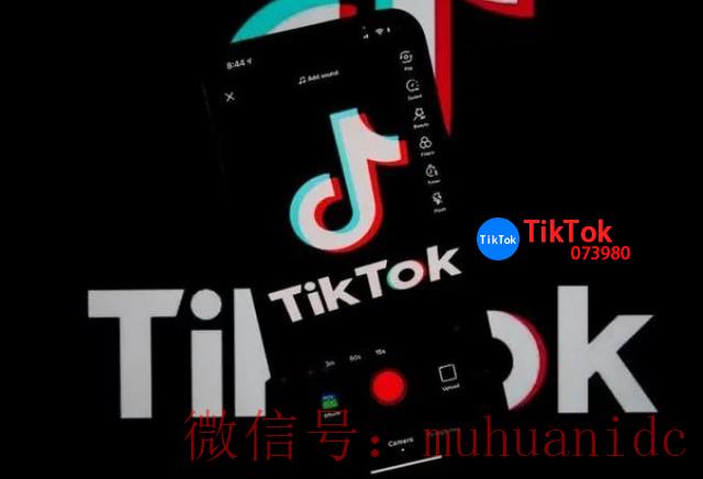 tiktok账号购买平台