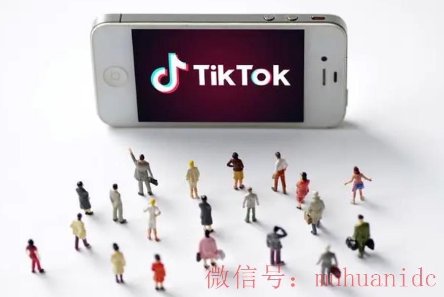 tiktok账号购买平台