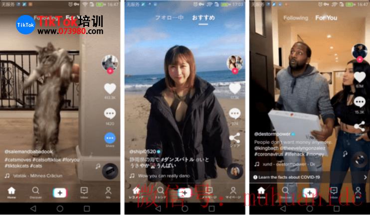 tiktok账号购买平台