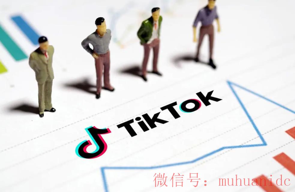 tiktok账号购买平台