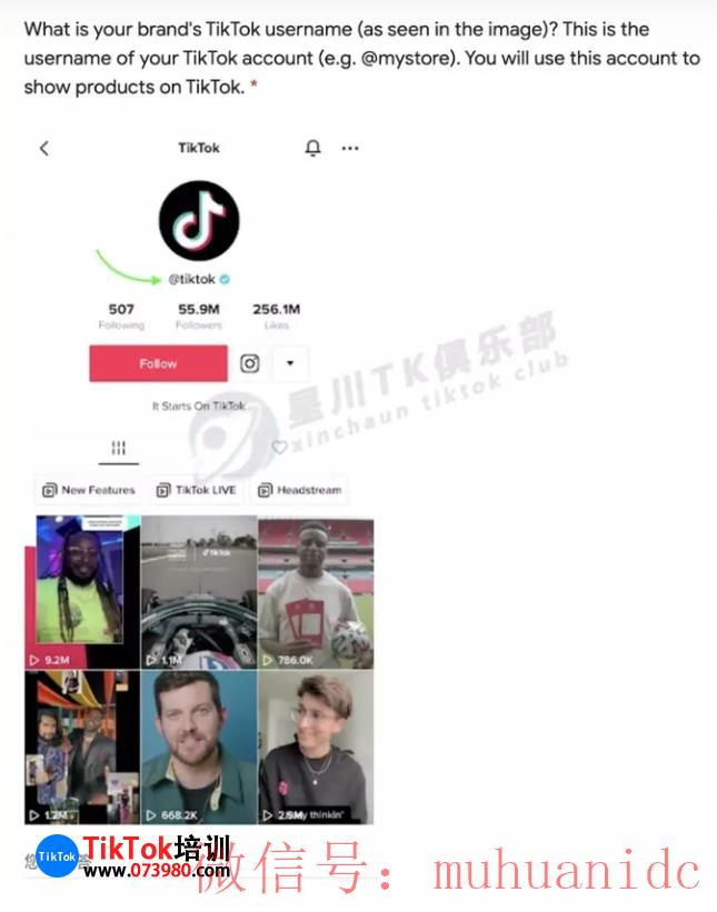 tiktok账号购买平台