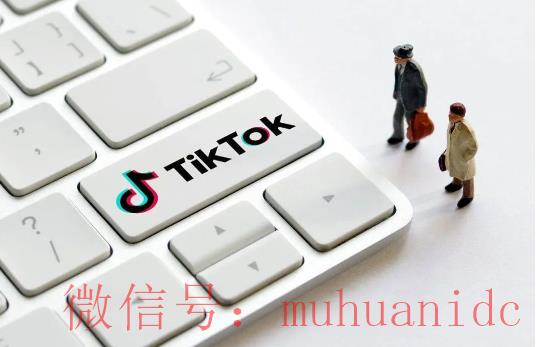tiktok账号购买平台