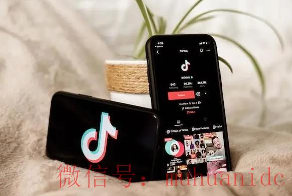 tiktok账号购买平台