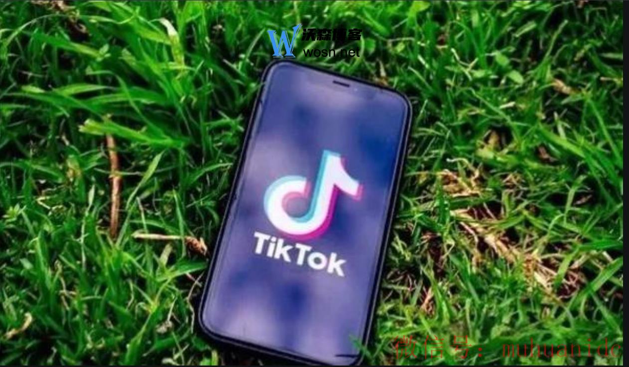 tiktok账号购买平台