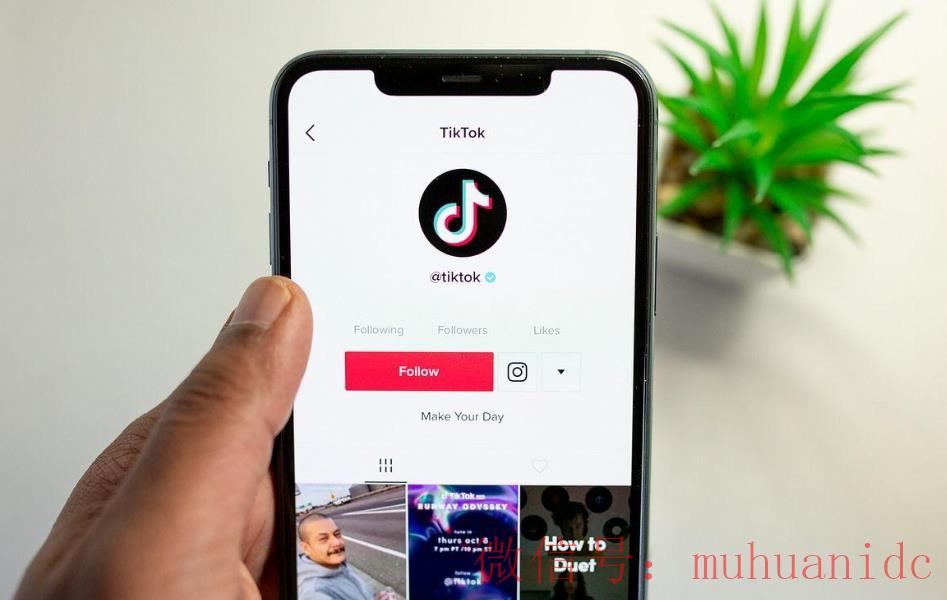 tiktok账号购买平台