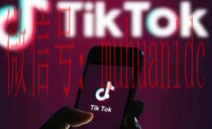 tiktok账号购买平台