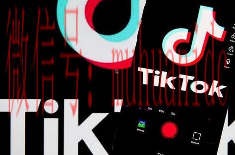 tiktok账号购买平台