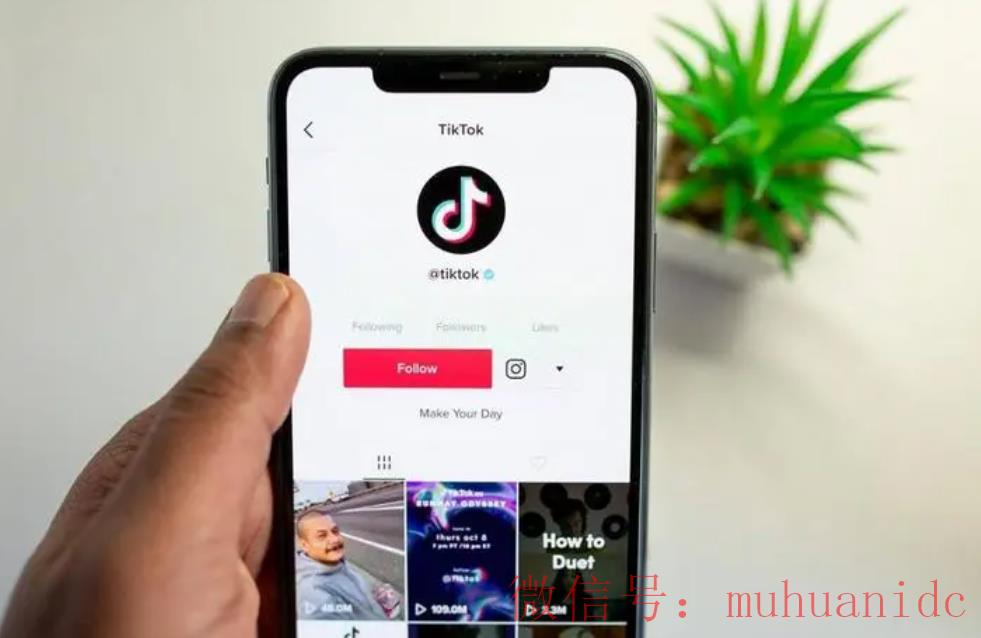 tiktok账号购买平台