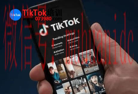 tiktok账号购买平台