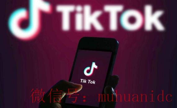 tiktok账号购买平台