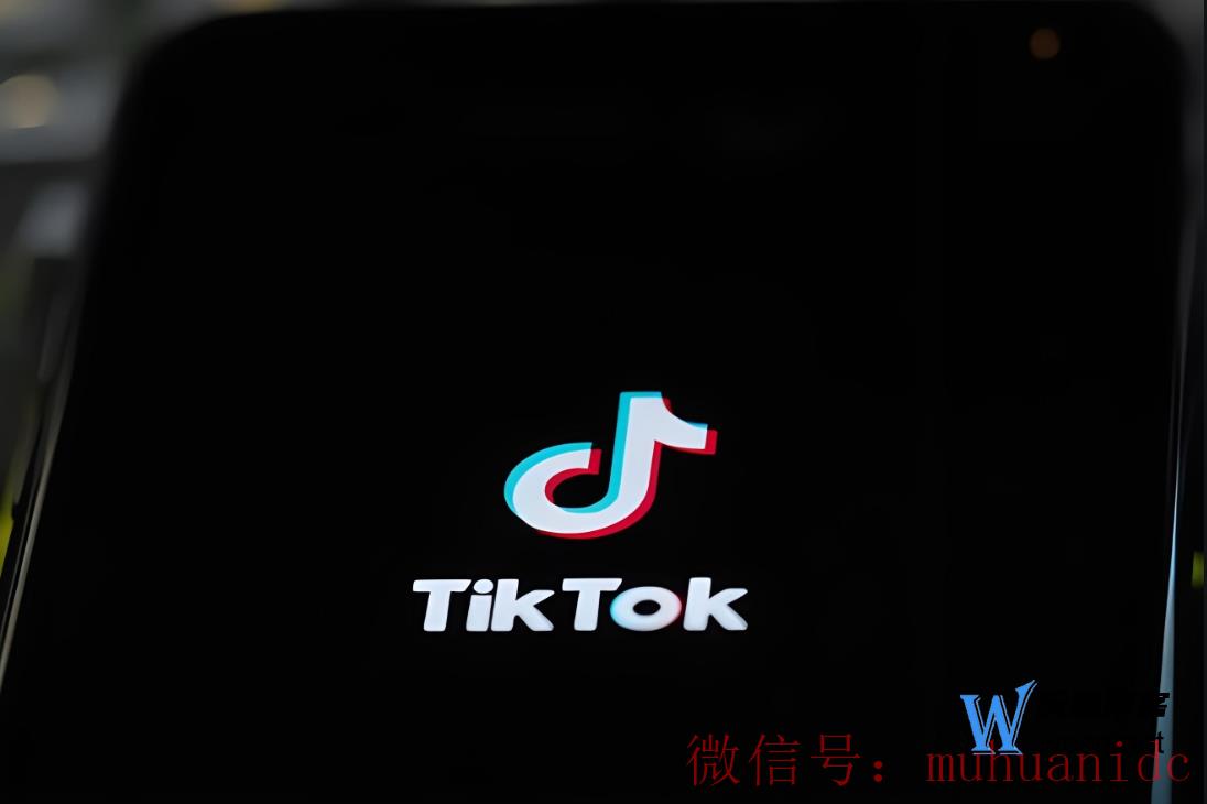 tiktok账号购买平台