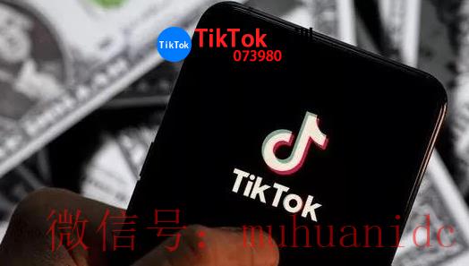 tiktok账号购买平台