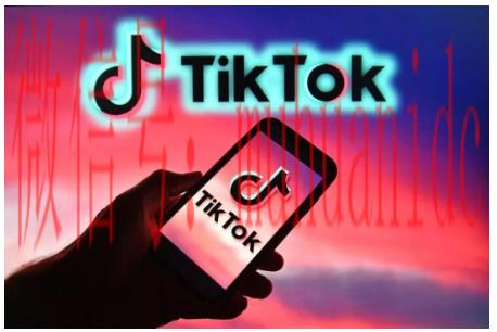 tiktok账号购买平台