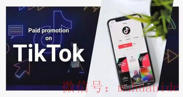 tiktok账号购买平台