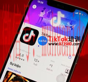 tiktok账号购买平台