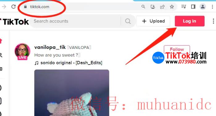 tiktok账号购买平台