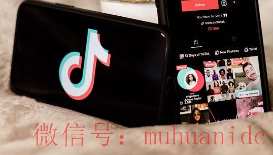 tiktok账号购买平台