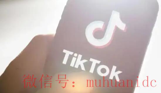 tiktok账号购买平台