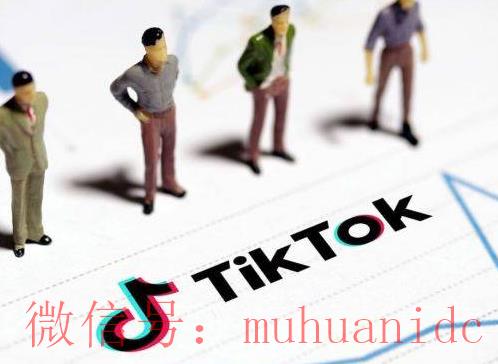 tiktok账号购买平台