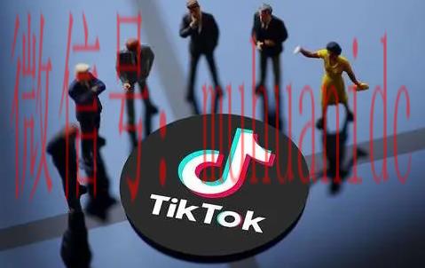 tiktok账号购买平台