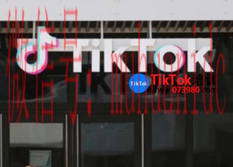 tiktok账号购买平台