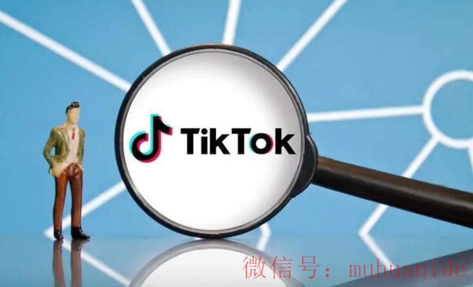tiktok账号购买平台
