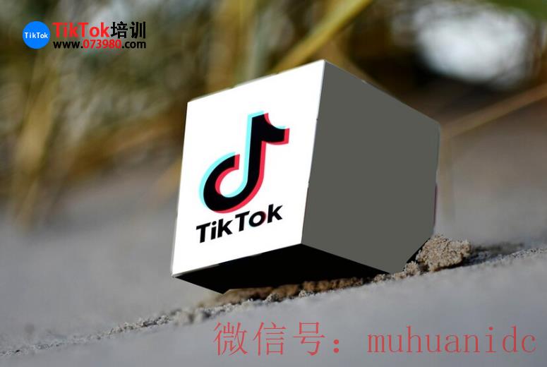 tiktok账号购买平台