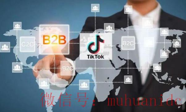 tiktok账号购买平台