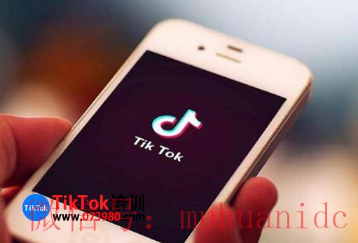 tiktok账号购买平台