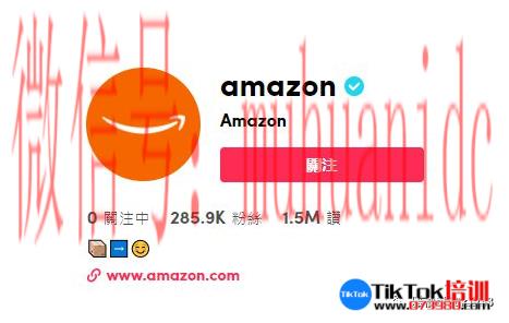 tiktok账号购买平台