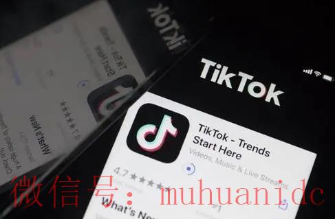 tiktok账号购买平台