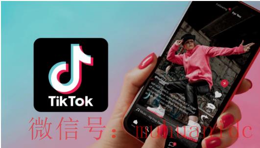 tiktok账号购买平台