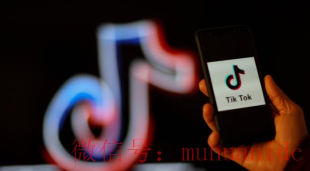 tiktok账号购买平台